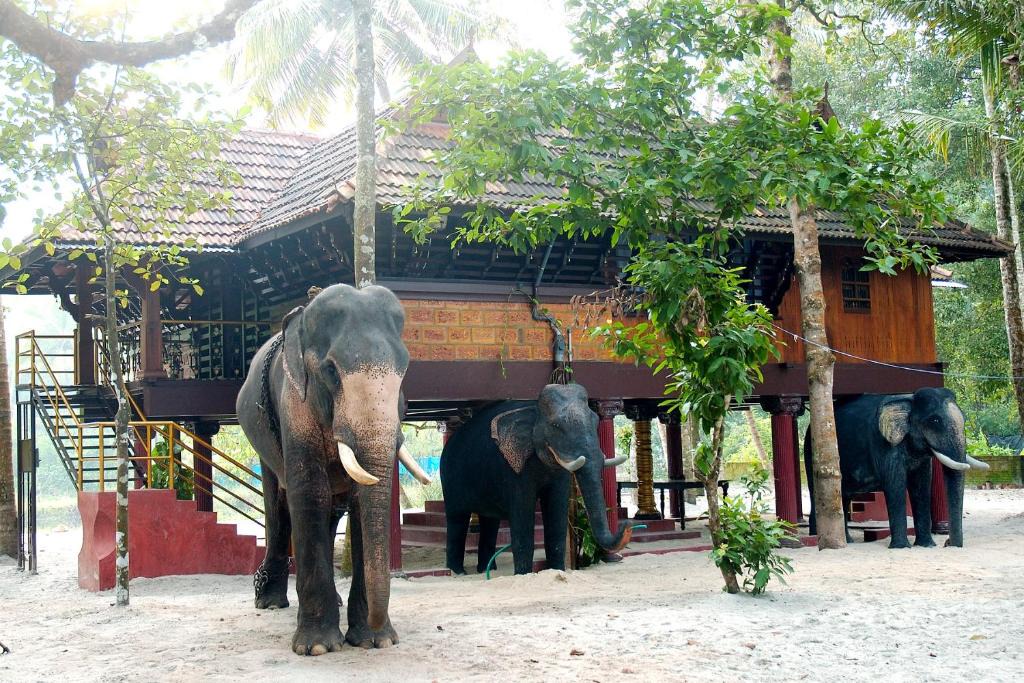 Cherthala House | Elephant Courtyard- A Heritage Homestay