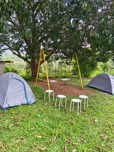 Kuttikkanam Other | Pinewoods Tents