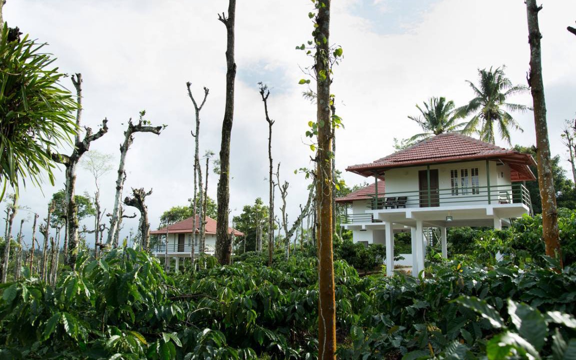 Sulthan Bathery Resort | Private room ∙ 2 guests