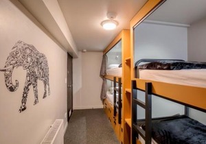 The Black Sheep Backpackers