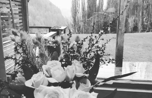 Arthur's Point Bed & Breakfast | 70 m² Bed and breakfast ∙ 3 guests