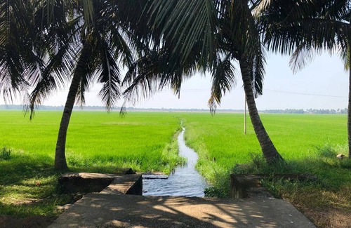 Mararikulam Resort | Private room ∙ 2 guests