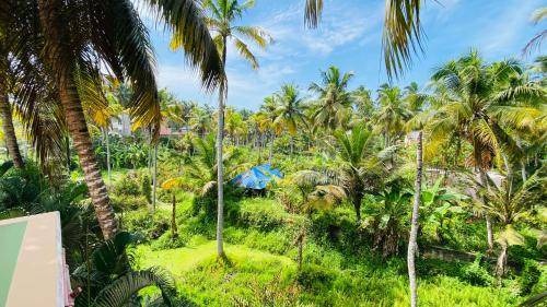 Kovalam Hotel | 16 m² Hotel ∙ 2 guests