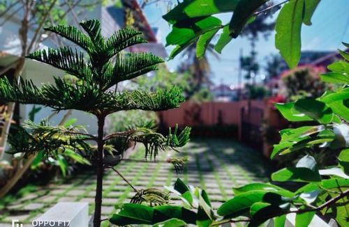Vyttila Villa | Backwater facing villa in Vytilla, Kochi