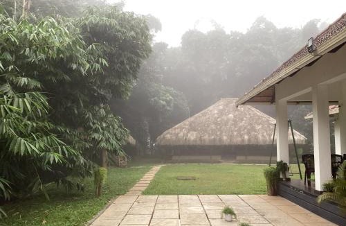 Mananthavady Bed & Breakfast | Bamboo Grove