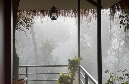 Mananthavady Resort | Coffee Cradle Wayanad Luxuorios Private Tree House - Inside 2 Acre Coffee Plantation