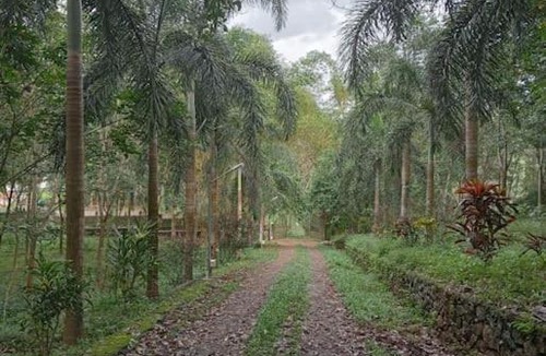 Kedavur House | Nellari Heritage Bungalow