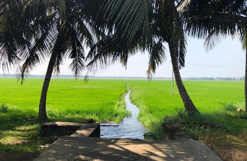Mararikulam Resort | Private room ∙ 2 guests