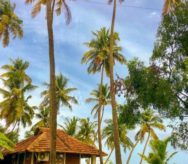 Kasaragod District Resort | The Oyster Opera