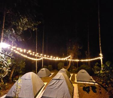 Vayittiri Other | Tropical camping
