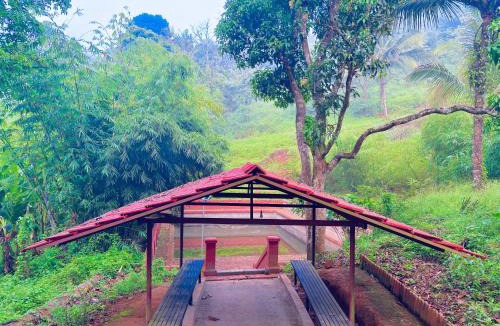 Mananthavady Resort | Vaca Vibes Resorts