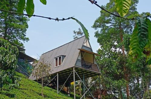 Vythiri House | Vythiri Stream View