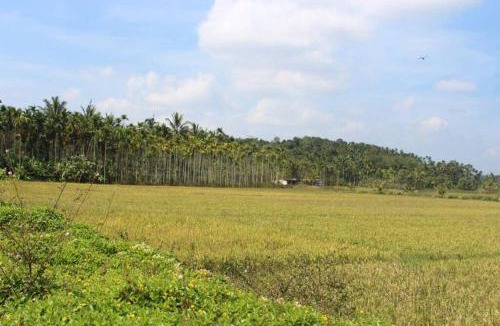 Panamaram Villa | Wayal Wayanad Honey moon villa
