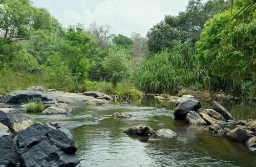 Kottappadi part Villa | Wild Wagon Service Villa