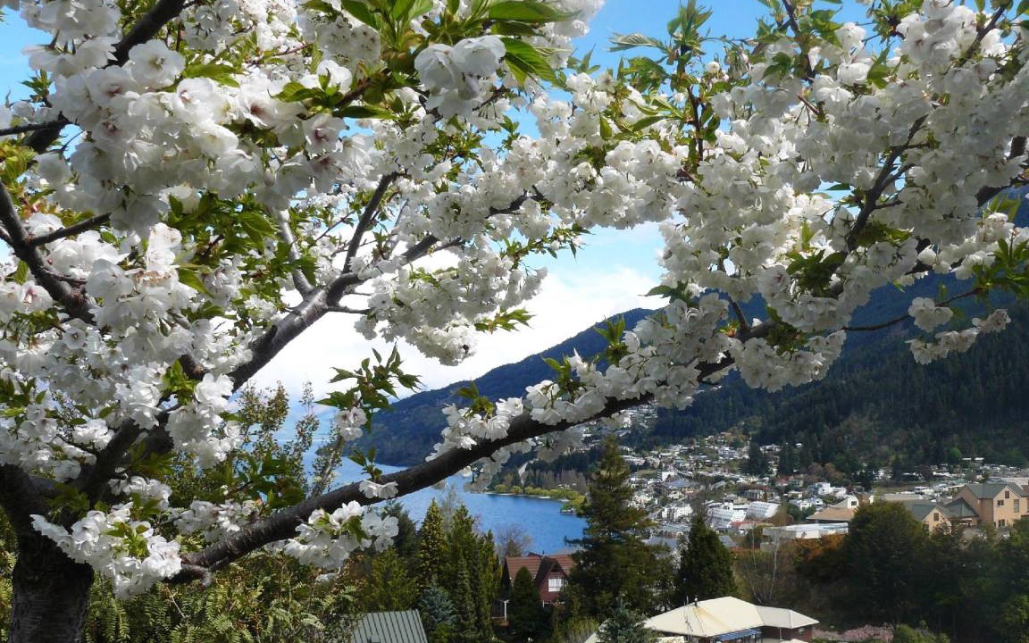 Photo of Others in Queenstown City Centre