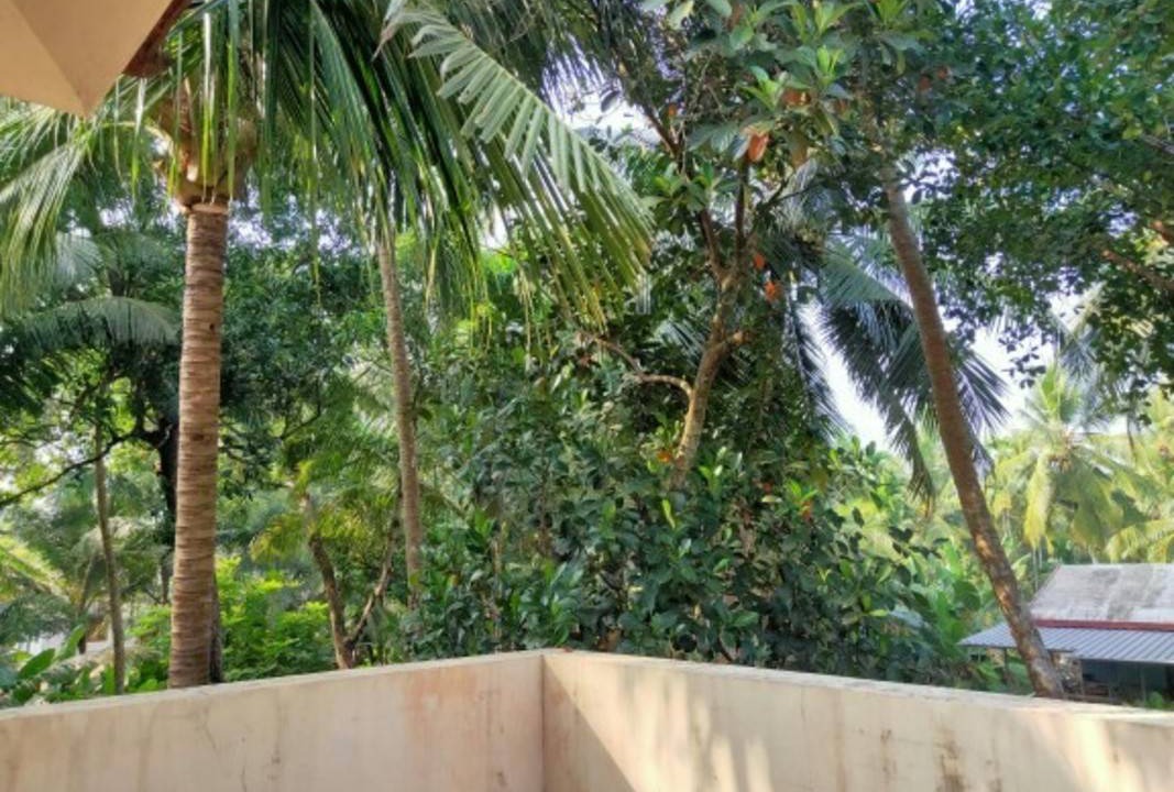 Photo of Others in Kozhikode