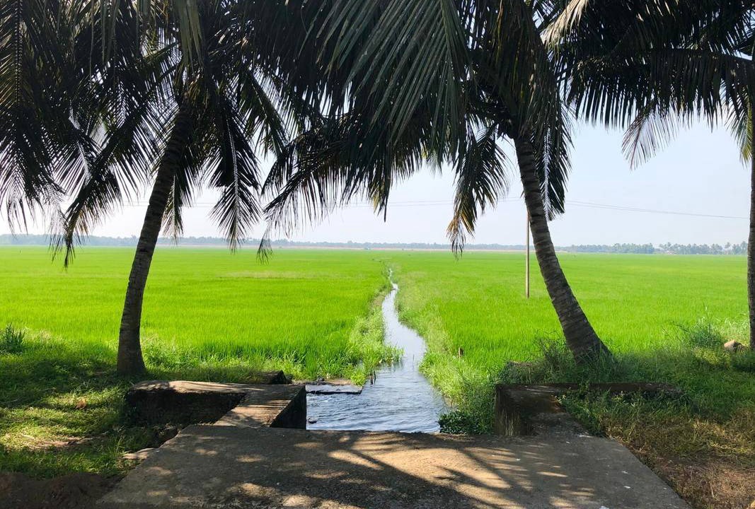 Photo of Others in Mararikulam