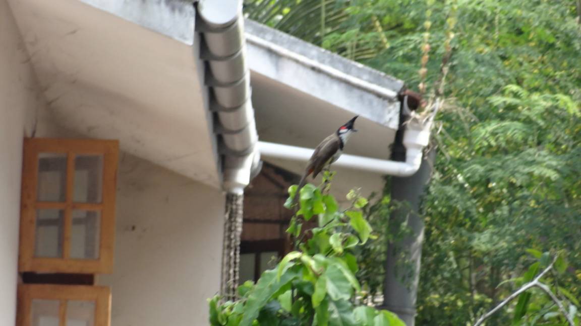 Photo of Others in Kozhikode