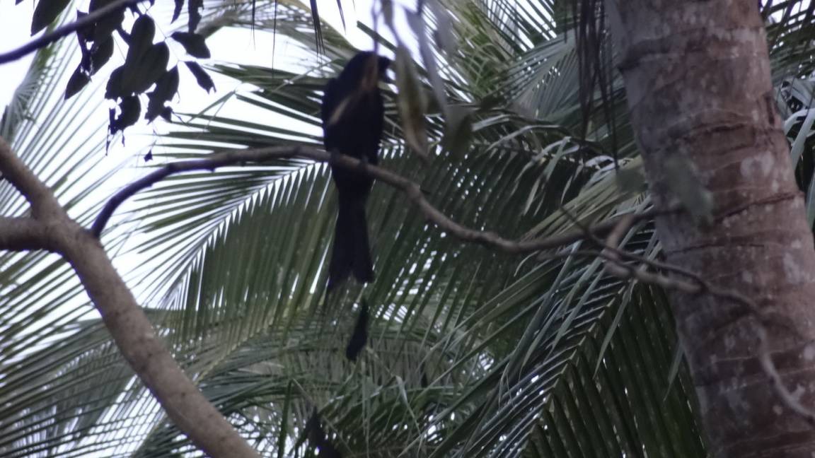 Photo of Others in Kozhikode