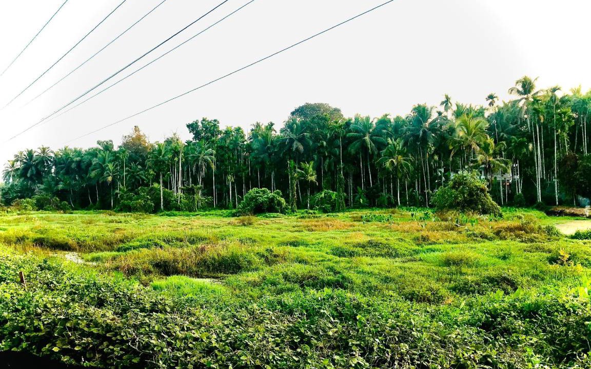 Photo of Others in Thalassery