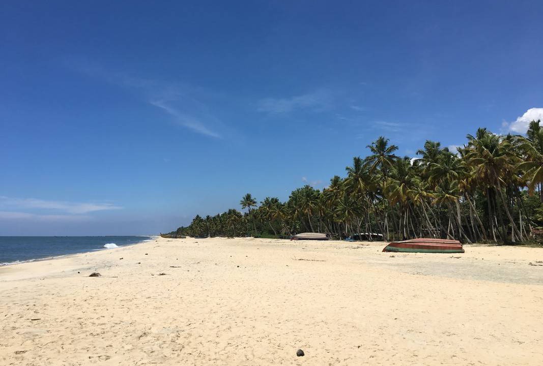 Photo of Others in Mararikulam