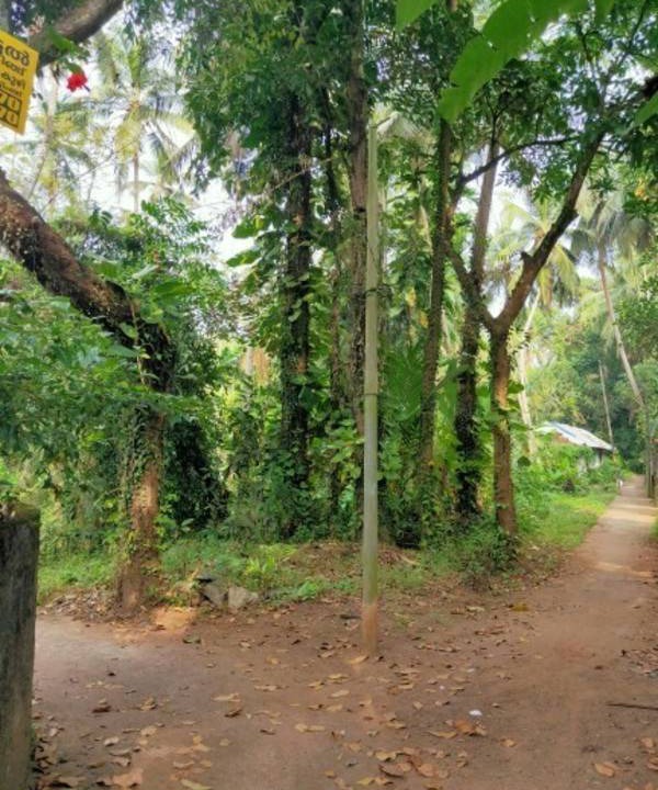 Photo of Others in Kozhikode