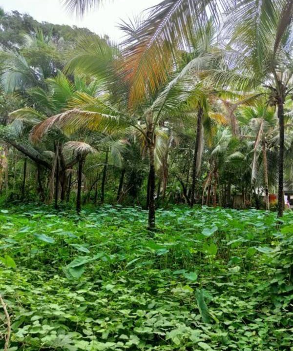 Photo of Others in Kozhikode