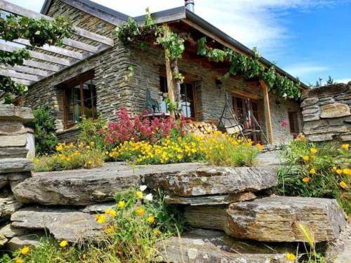 Photo of Others in Arrowtown