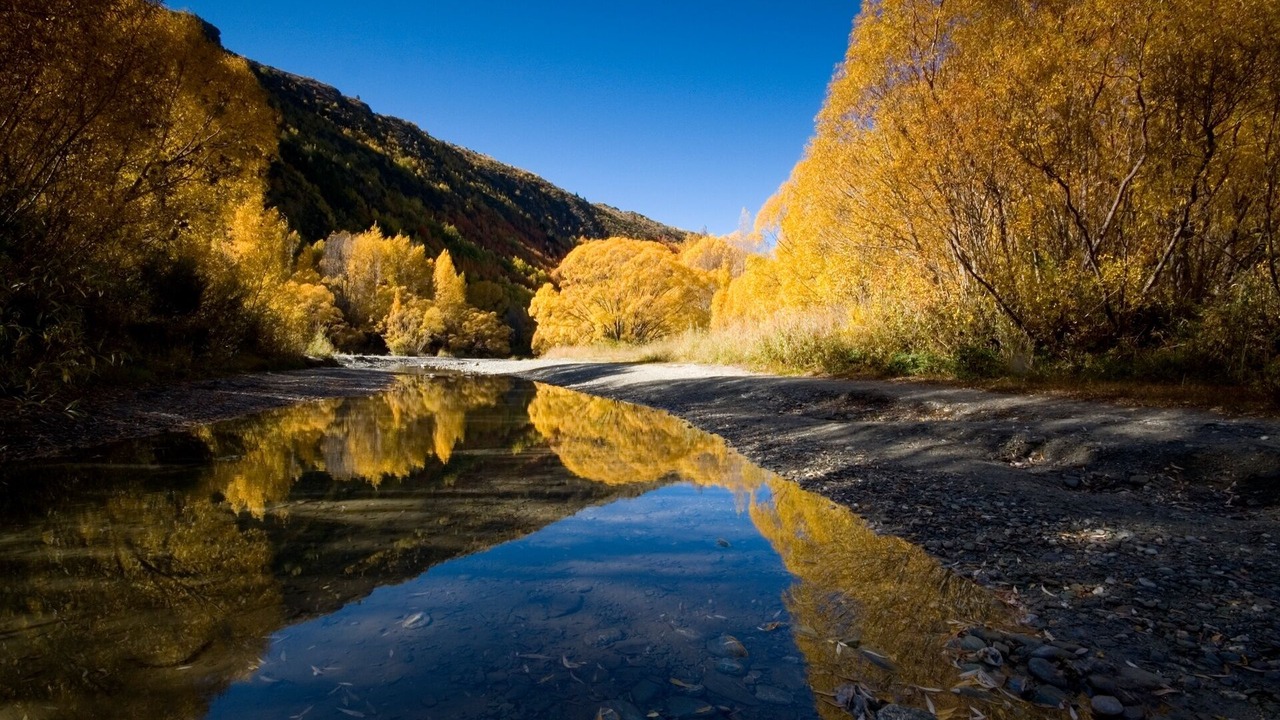 Photo of Others in Arrowtown