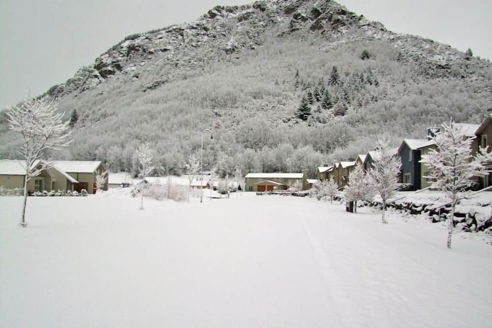 Photo of Others in Arrowtown