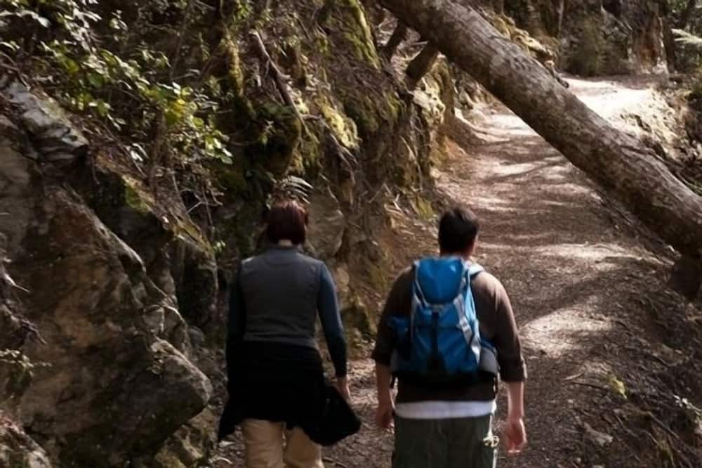 Photo of Others in Arrowtown