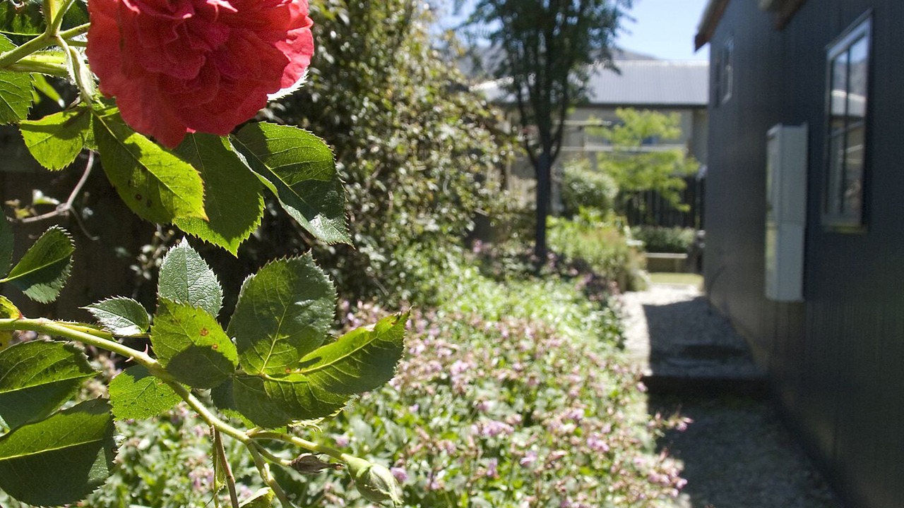 Photo of Outdoor in Arrowtown