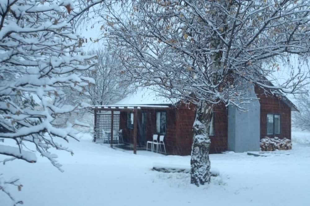 Photo of Others in Arrowtown