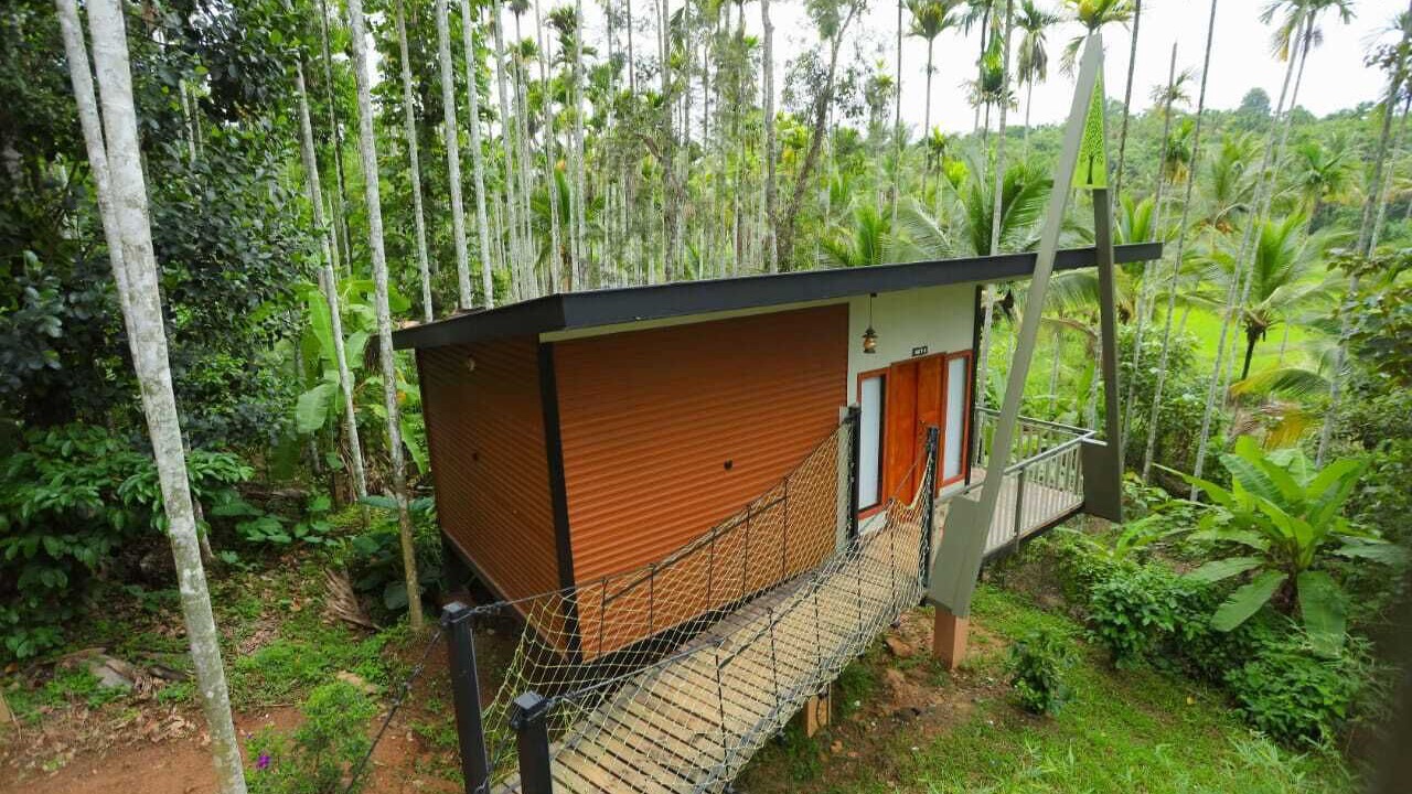 Photo of Outdoor in Sulthan Bathery