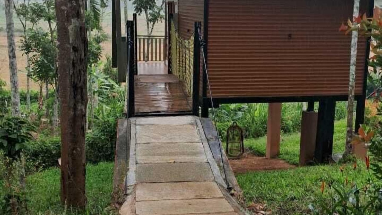 Photo of Outdoor in Sulthan Bathery