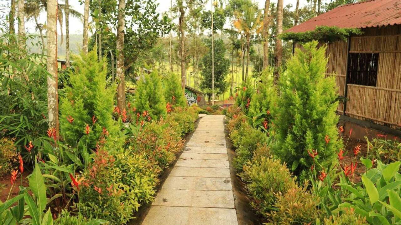Photo of Outdoor in Sulthan Bathery