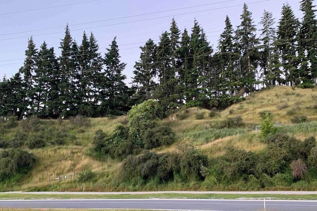 Photo of Others in Lower Shotover