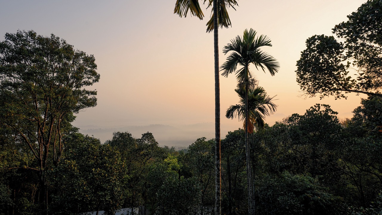Photo of Others in Kalpetta