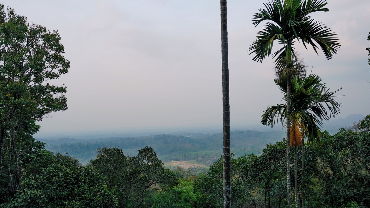 Photo of Others in Kalpetta