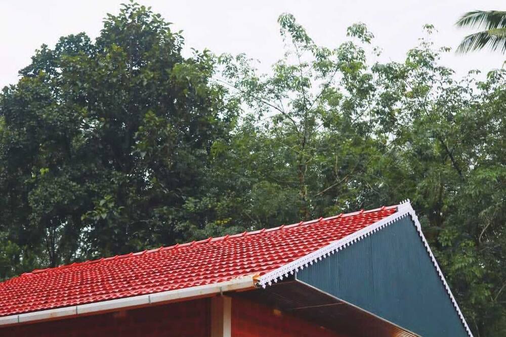 Photo of Outdoor in Devikolam
