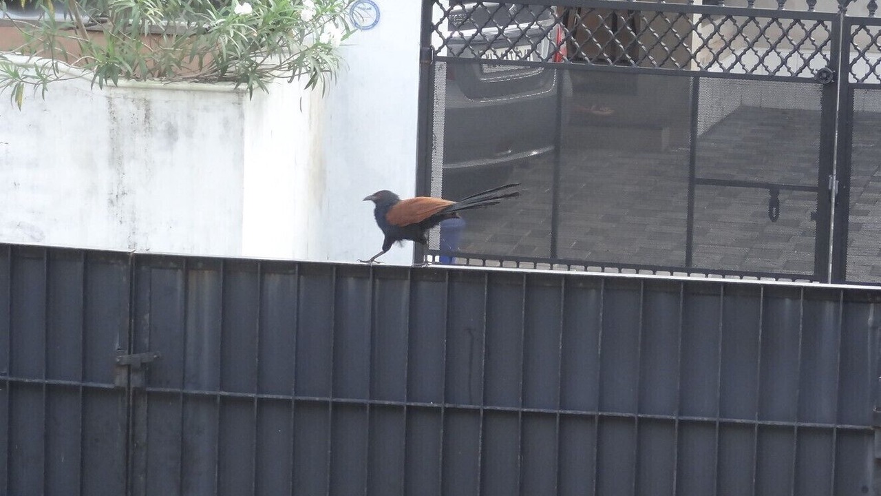 Photo of Others in Kozhikode
