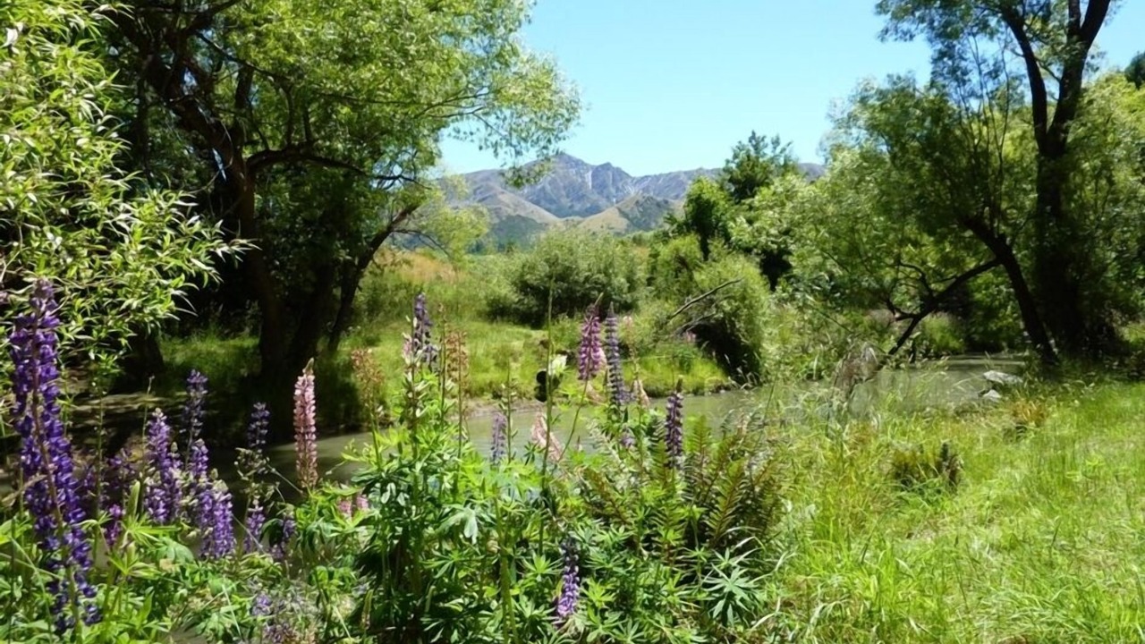 Photo of Others in Arrowtown