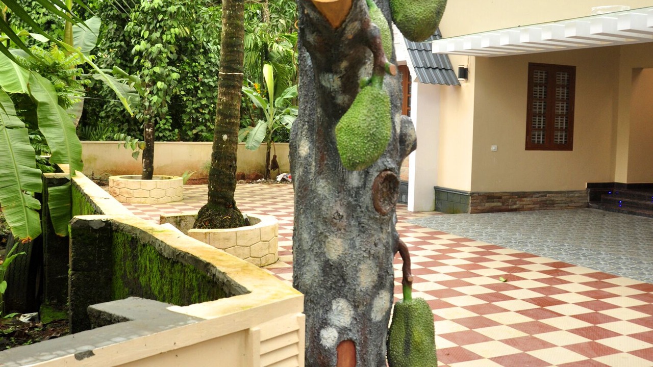 Photo of Outdoor in Alwaye