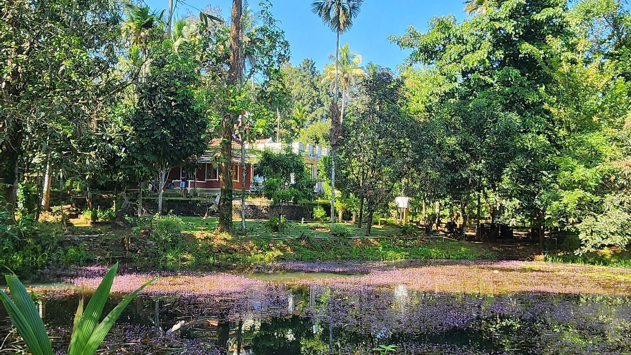 Photo of Outdoor in Kothamangalam
