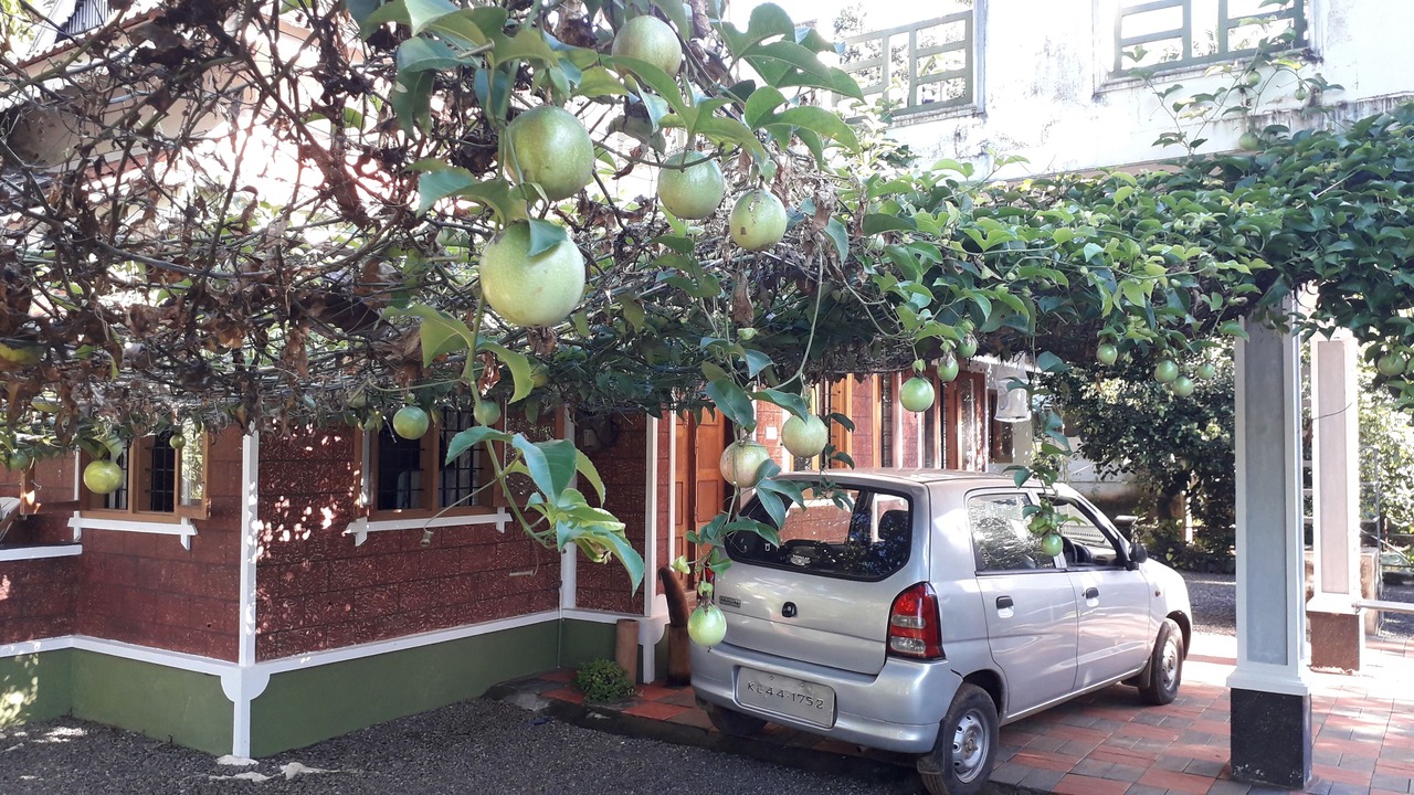 Photo of Outdoor in Kothamangalam
