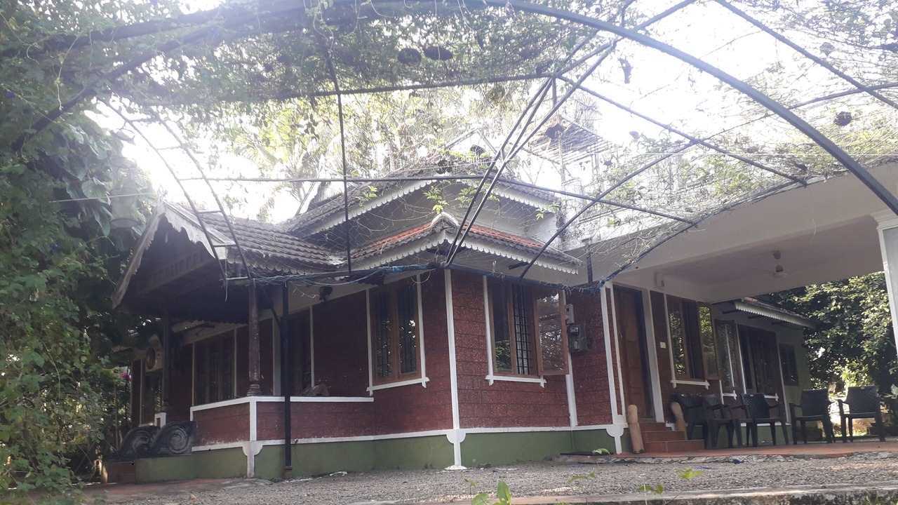 Photo of Outdoor in Kothamangalam