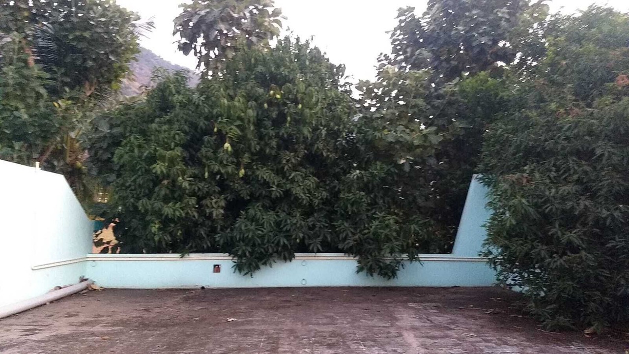 Photo of Outdoor in Thekkady