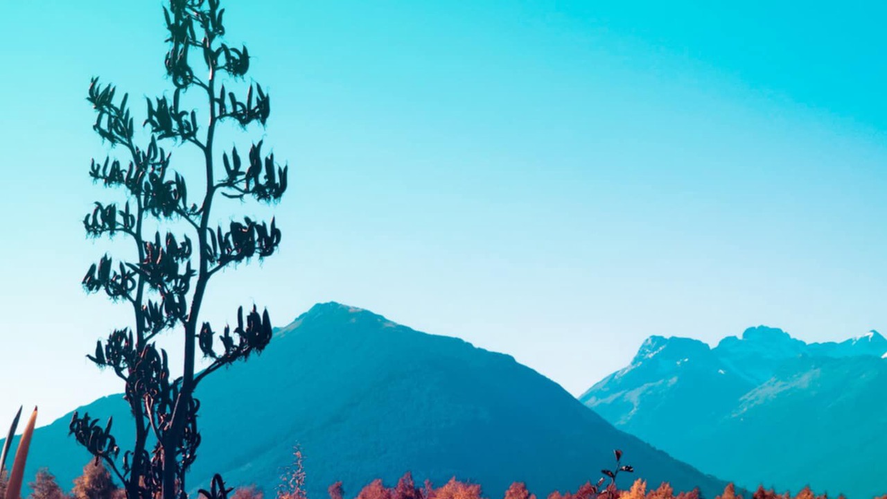 Photo of Others in Glenorchy
