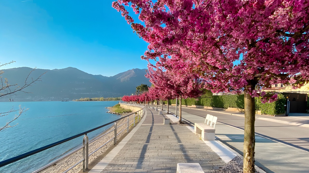 Photo of Others in Rovato