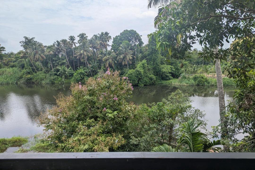 Photo of Others in Irinjalakuda